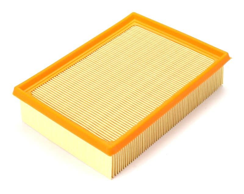 Bmw E46 M43 M52 Hava Filtresi | BSG 15-135-002