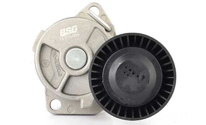 Bmw 3 Serisi E46 M43 Kayış Gergi Kütüğü Komple | BSG 15-615-005