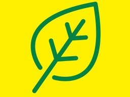 BMW X1 F48 16d B37 Hava Filtresi | MANN C 22018