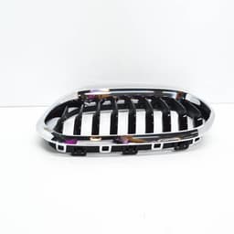 BMW 1 Serisi F20 Panjur Sol | ITHAL 51137371685