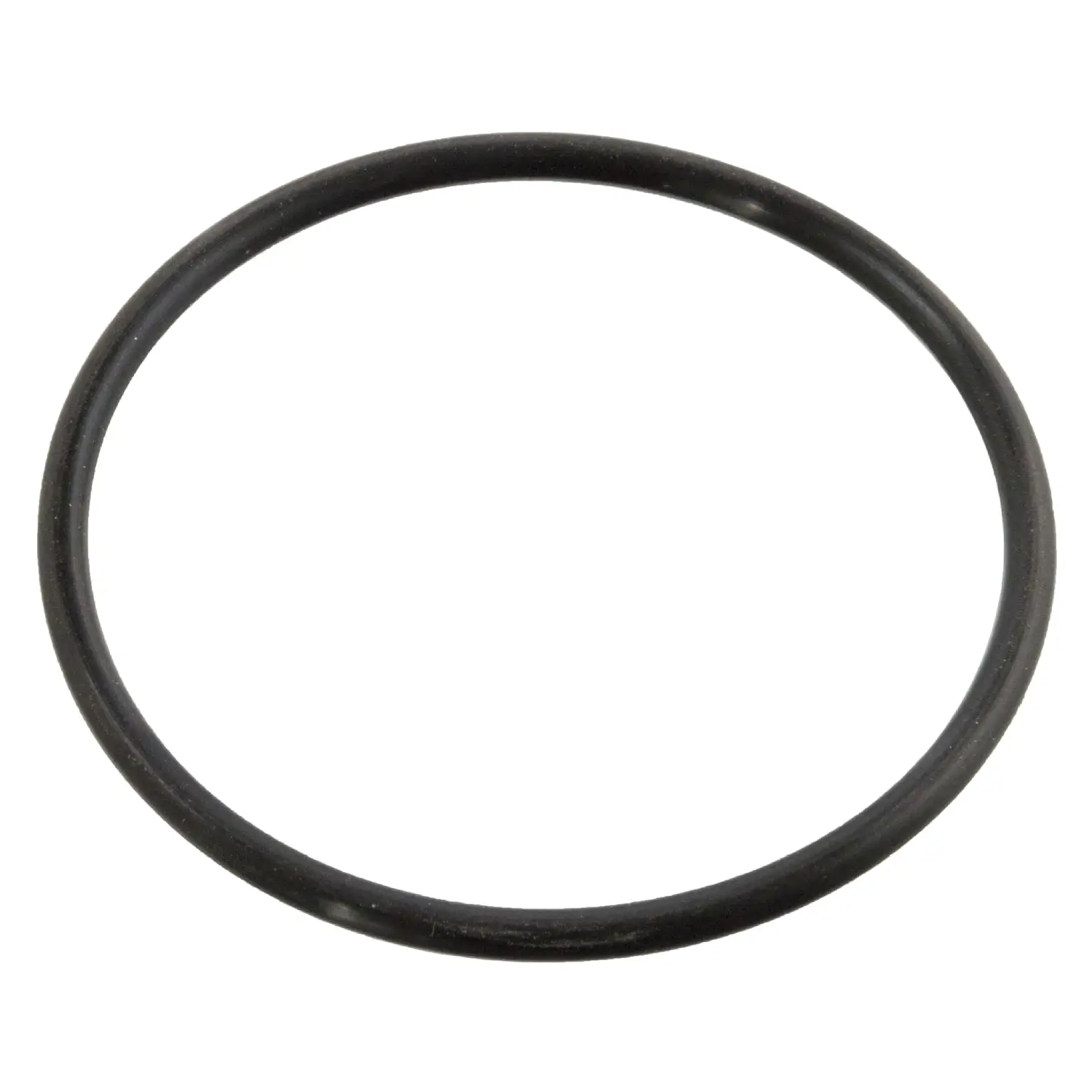 Mercedes C Serisi W202 M111 Termostat Oringi | FEBI 10258