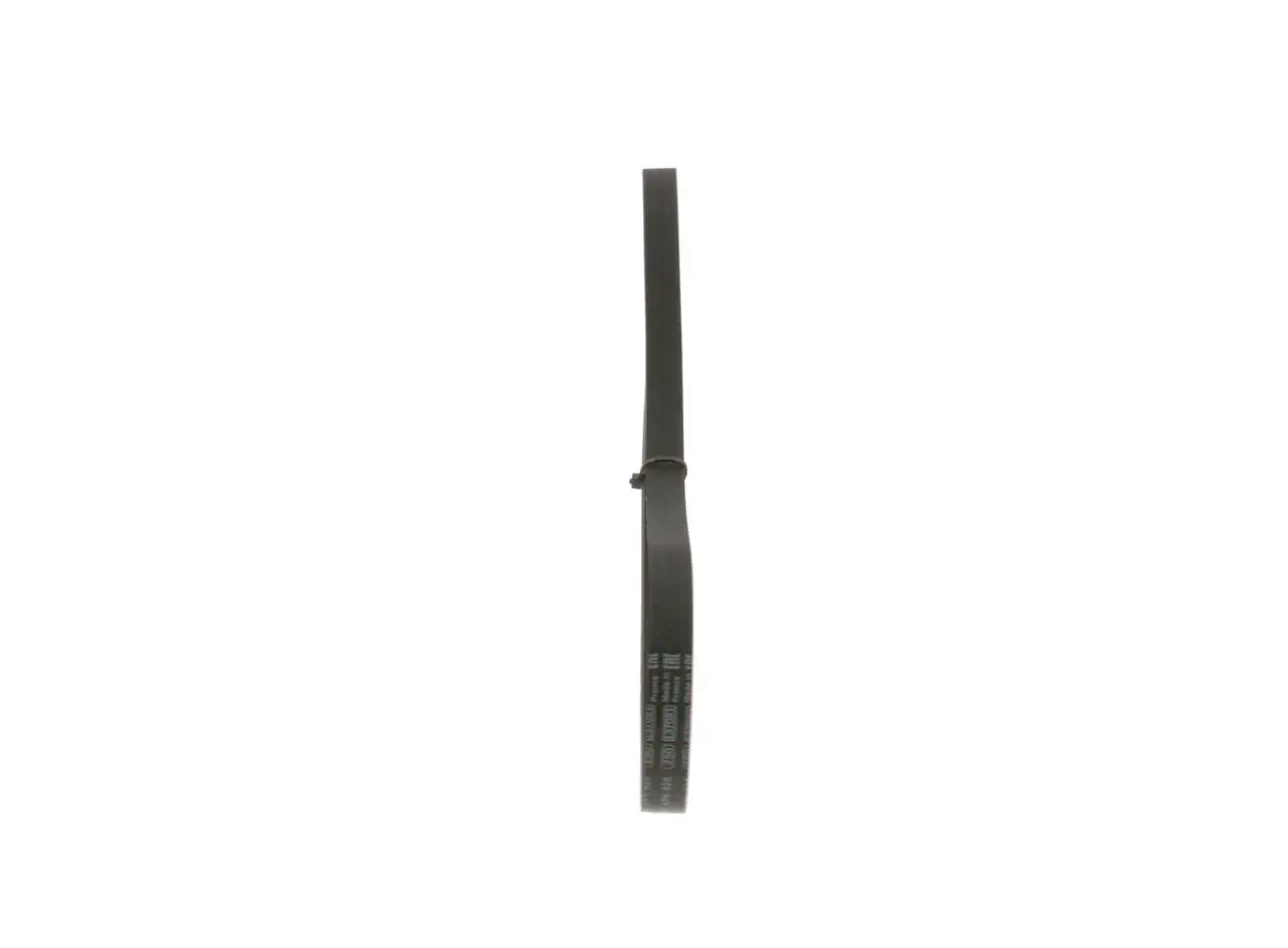 BMW 6 Serisi E63 2003-2010 Klima Kayışı | BOSCH 1987948341