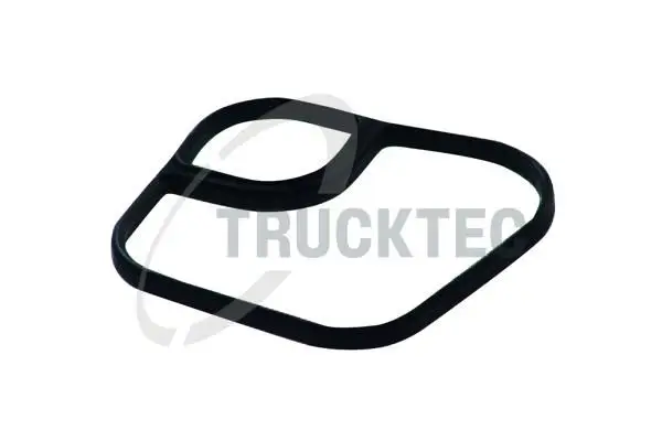 BMW 3 Serisi E91 M47 Yağ Filtre Contası | TRUCKTEC 0818019