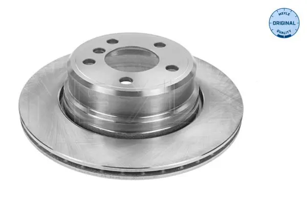 BMW X5 Serisi E53 2000-2006 Fren Diski Arka | MEYLE 315 523 0055