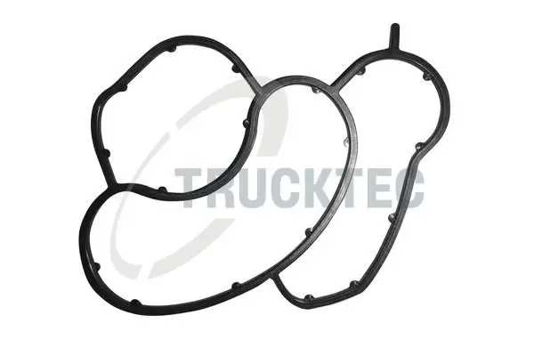 BMW 3 Serisi E46 1997-2006 N42 Yağ Filtre Contası | TRUCKTEC 0810054