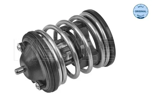 BMW X3 Serisi E83 2003-2010 N47 Termostat | MEYLE 328 228 0010