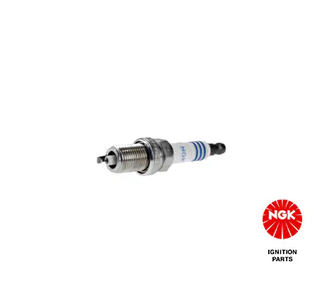 BMW 7 Serisi E65 N62 Buji | NGK 1565