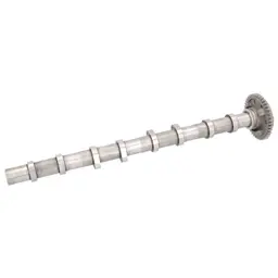 BMW 5 Serisi F10/F11/F18 N47 Eksantrik Mili Emme | FEBI 184902