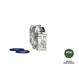Mercedes B Serisi W245 M266 Gaz Kelebeği Gövdesi | NGK 91444