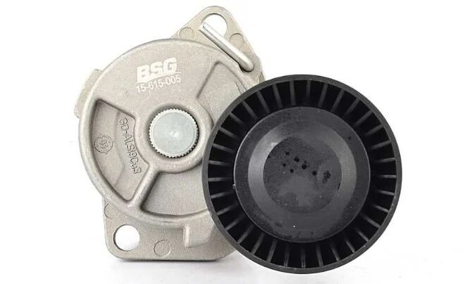 Bmw 3 Serisi E46 M43 Kayış Gergi Kütüğü Komple | BSG 15-615-005
