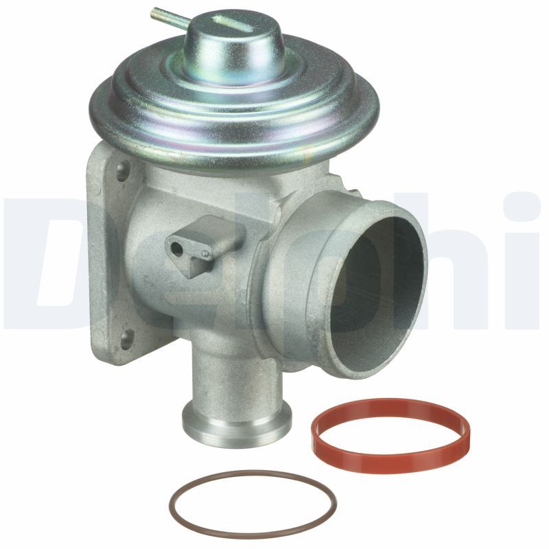 BMW 3 Serisi E46 M47 Egr Valfi | DELPHI EG10464-12B1