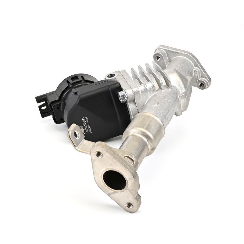 BMW 5 Serisi E61 N43 Egr Valfi | DELPHI EG10488-12B1