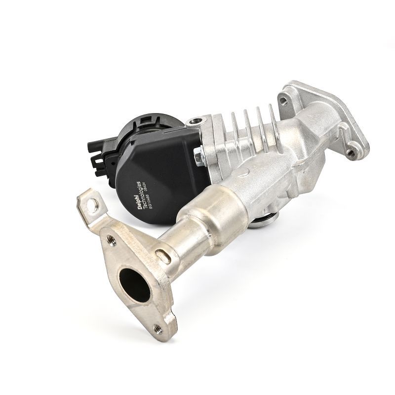 BMW 5 Serisi E61 N43 Egr Valfi | DELPHI EG10488-12B1