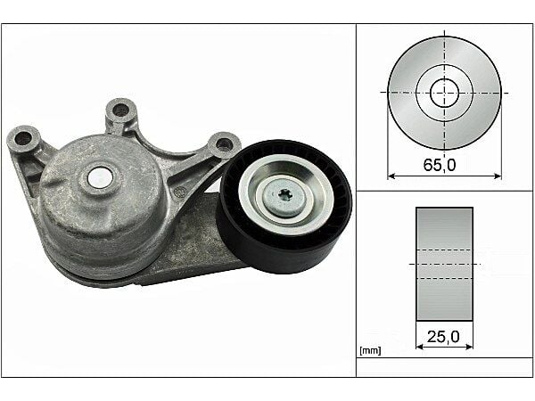 BMW 2 Serisi F22 220d V Kayış Gergisi Komple | INA 534 0535 10