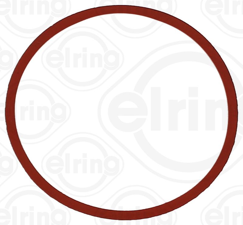 BMW 1 Serisi F20 N13 Emme Manifoldu Contası | ELRING 893.600