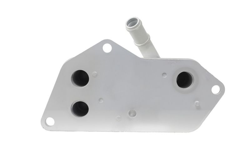 BMW Z4 E89 N52 Motor Yağ Soğutucusu | HELLA 8MO 366 360-491