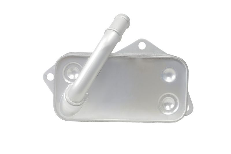 BMW Z4 E89 N52 Motor Yağ Soğutucusu | HELLA 8MO 366 360-491