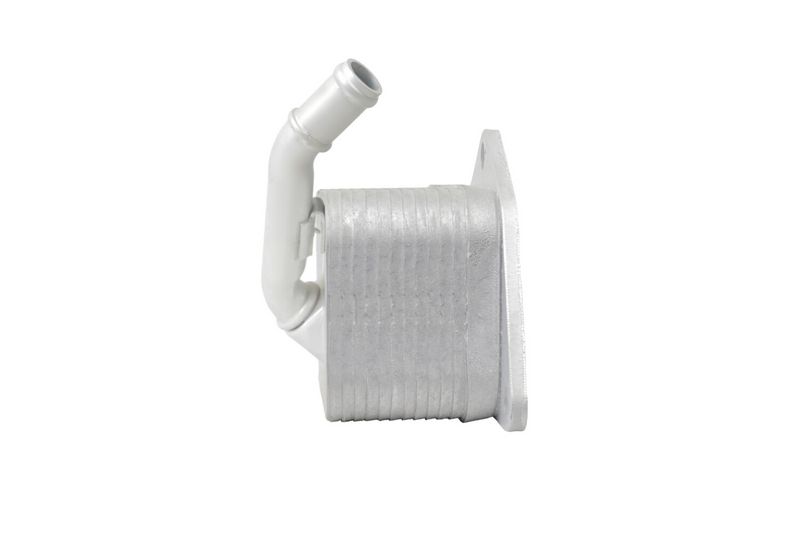 BMW Z4 E89 N52 Motor Yağ Soğutucusu | HELLA 8MO 366 360-491
