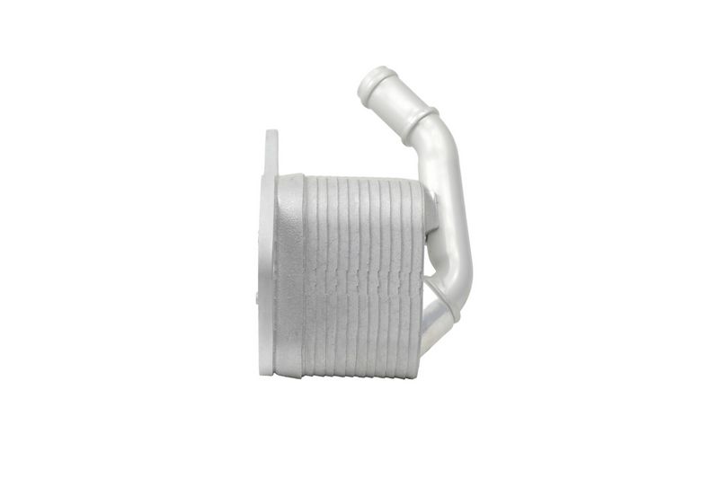 BMW Z4 E89 N52 Motor Yağ Soğutucusu | HELLA 8MO 366 360-491