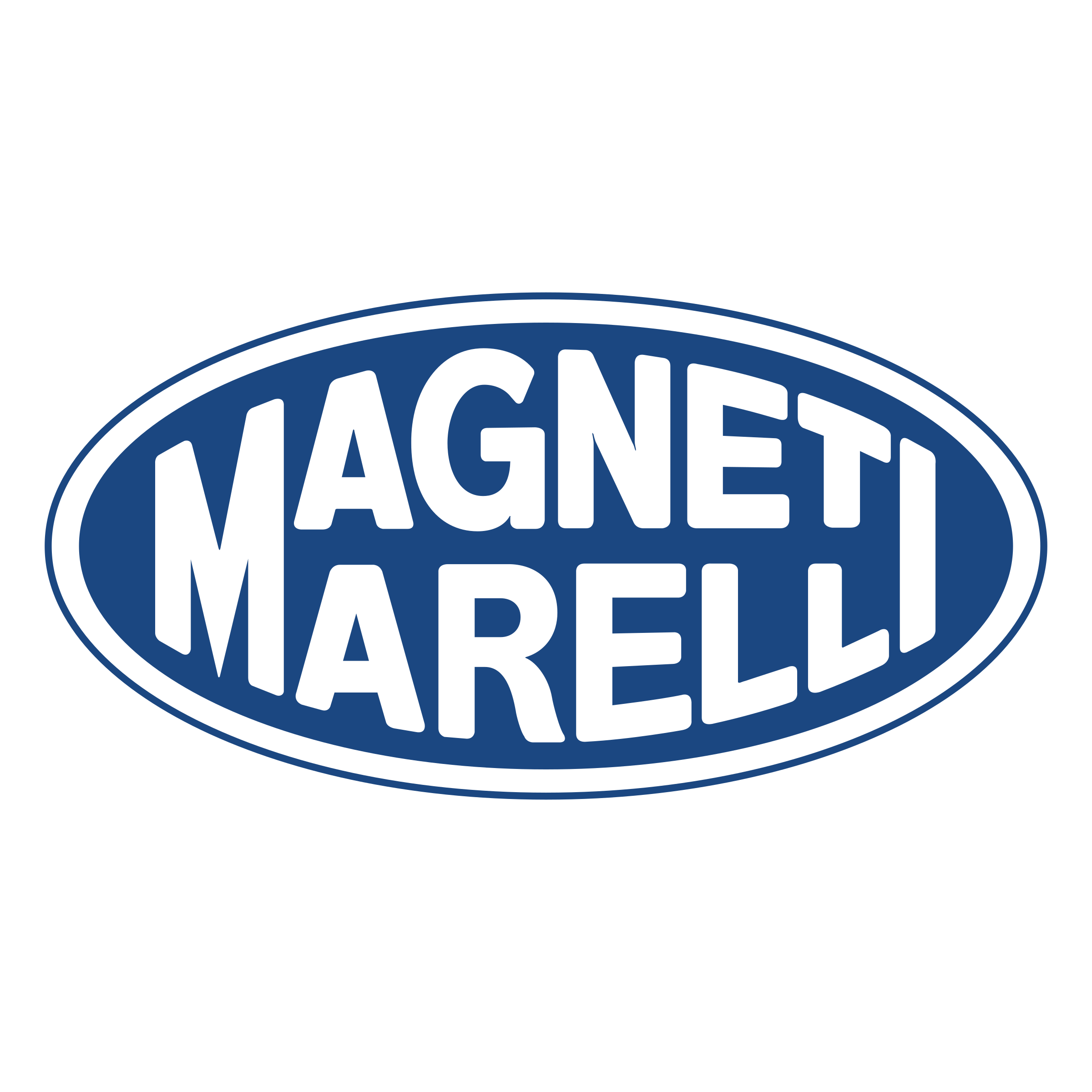 MAGNETI MARELLI