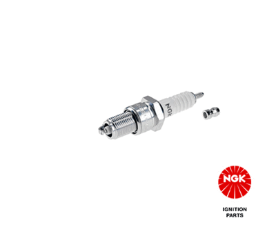 Mercedes W123 Kasa M123 Buji | NGK 7811
